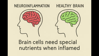 NeuroRevitalize – 3-in-1 Daily Support for Focus, Calm & Clarity